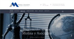 Desktop Screenshot of molinalawpty.com
